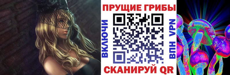 Галлюциногенные грибы Psilocybine cubensis  Спасск-Дальний 