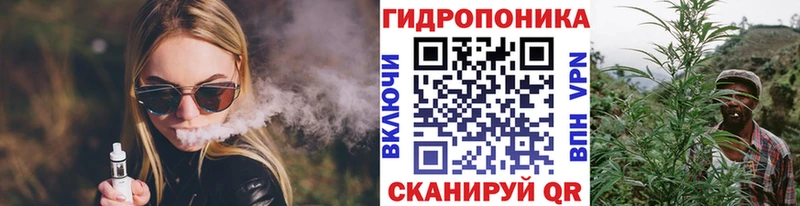 Бошки марихуана сатива  купить закладку  Спасск-Дальний 